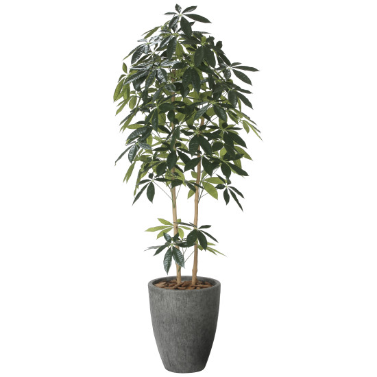 光触媒 人工観葉草木 造花 自然的DXパキラ1.8 (高さ180糎) (2614A650) バス発着場備品 光触媒 人工観葉草木・造花・フェイクグリーン 立ち会い場(鉢型)用人工観葉草木 165糎以上