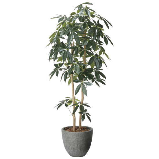 光触媒 人工観葉草木 造花 自然的パキラ1.6 (高さ160糎) (2617A500) バス発着場設備 光触媒 人工観葉草木・造花・フェイクグリーン 立ち会い場(鉢型)用人工観葉草木 125～160糎
