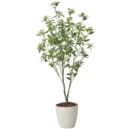 光触媒 人工観葉植物 造花 フレッシュアセビ1.65 (高さ165cm) (2627A300) 店舗用品 光触媒 人工観葉植物・造花・フェイクグリーン フロア(鉢型)用人工観葉植物 165cm以上｜サインモール　店
