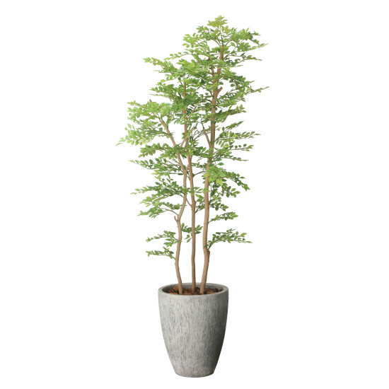 光触媒 人工観葉草木 造花 ナチュラルゴールデンリーフ1.8 (高さ180糎) (2642A820) バス発着場備品 光触媒 人工観葉草木・造花・フェイクグリーン 立ち会い場(鉢型)用人工観葉草木 165糎以上
