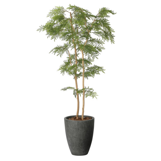 光触媒 人工観葉草木 造花 自然的ねむの木1.8 (高さ180糎) (2643A580) バス発着場設備 光触媒 人工観葉草木・造花・フェイクグリーン 立ち会い場(鉢型)用人工観葉草木 165糎以上