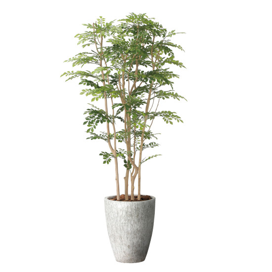 光触媒 人工観葉草木 造花 ナチュラルツートントネリコ1.8 (高さ180糎) (2644A850) バス発着場備品 光触媒 人工観葉草木・造花・フェイクグリーン 立ち会い場(鉢型)用人工観葉草木 165糎以上