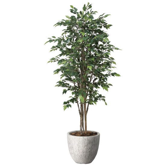 光触媒 人工観葉草木 造花 ナチュラルロイヤルベンジャミン1.6 (高さ160糎) (2650A600) バス発着場備品 光触媒 人工観葉草木・造花・フェイクグリーン 立ち会い場(鉢型)用人工観葉草木 125～160糎
