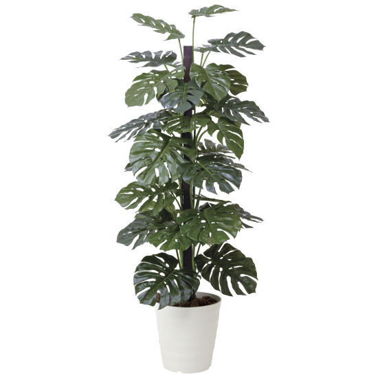 光触媒 人工観葉草木 造花 モンステラ  1.8 (高さ180糎) (403R480) バス発着場設備 光触媒 人工観葉草木・造花・フェイクグリーン 立ち会い場(鉢型)用人工観葉草木 165糎以上