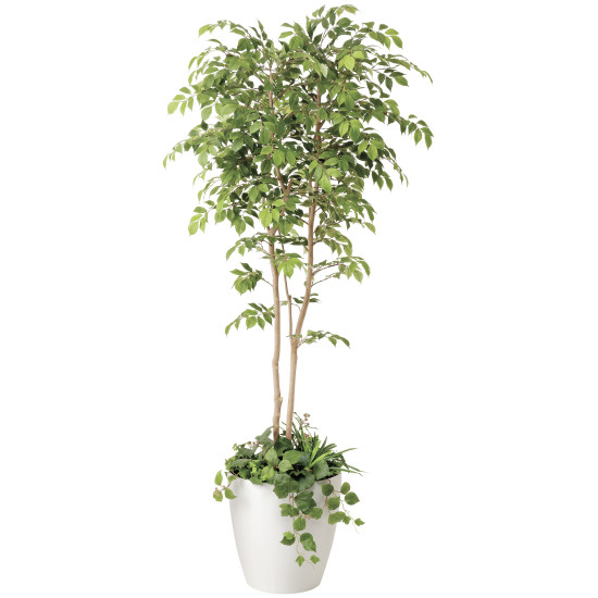 光触媒 人工観葉草木 造花 マウンテンアッシュ1.8植栽付 (高さ180糎) (408R650) バス発着場備品 光触媒 人工観葉草木・造花・フェイクグリーン 立ち会い場(鉢型)用人工観葉草木 165糎以上