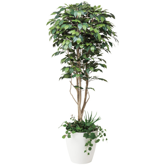 光触媒 人工観葉植物 造花 フィカスベンジャミン1.8植栽付 (高さ180cm) (508F500) 店舗用品 光触媒 人工観葉植物・造花・フェイクグリーン フロア(鉢型)用人工観葉植物 165cm以上|サインモール 店