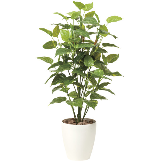 光触媒 人工観葉草木 造花 生新しいオウゴンカズラ1.0 (高さ100糎) (513A150) バス発着場装置 光触媒 人工観葉草木・造花・フェイクグリーン 立ち会い場(鉢型)用人工観葉草木 125糎未満