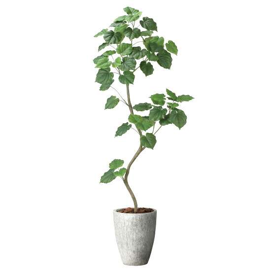 光触媒 人工観葉草木 造花 ナチュラルウンベラータ1.9(精神的な統合式) (高さ190糎) (2499A740) バス発着場装置 光触媒 人工観葉草木・造花・フェイクグリーン 立ち会い場(鉢型)用人工観葉草木 165糎以上