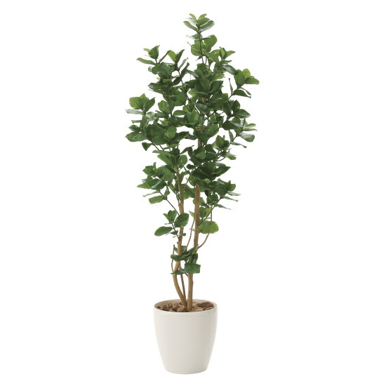 貨物輸送無料 クルシア 人工観葉植物 量さ160cm 燭触媒 719a360 販売店用件品 光触媒 人工観葉植物 造花 フェイクグリーン 信徒 頭蓋母型 用 125 160cm Newbyresnursery Com