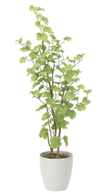 貨物輸送無料 バウヒニア 人工観葉草木 分量さ160cm 生気触媒 0a300 販売店機器 光触媒 人工観葉植物 造花 フェイクグリーン 侶 丼鉢パターン 機能 125 160cm Newbyresnursery Com