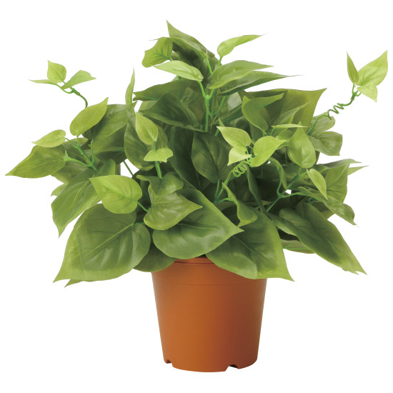 光触媒 人工観葉植物 造花 ライムポトス (高さ37cm) (2346A50) 店舗用品 光触媒 人工観葉植物・造花・フェイクグリーン テーブル(卓上)用人工観葉植物