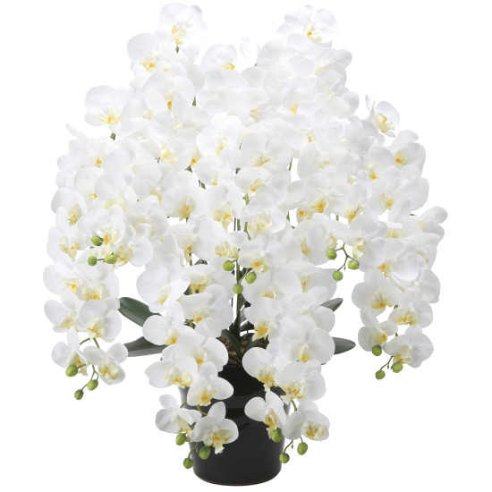 光触媒 人工観葉草木 造花 生新しいロング夢見鳥蘭7本立W (高さ90糎) (2578A500) バス発着場設備 光触媒 人工観葉草木・造花・フェイクグリーン 人工夢見鳥蘭