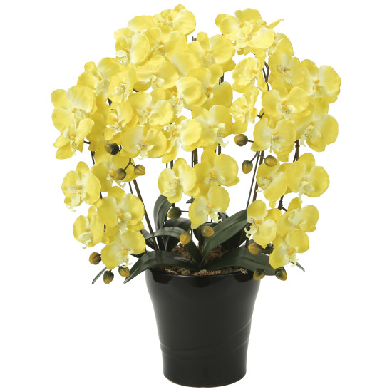 光触媒 人工観葉植物 造花 クイーン胡蝶蘭5本立Y (高さ74cm) (448A150) 店舗用品 光触媒 人工観葉植物・造花・フェイクグリーン 人工胡蝶蘭｜サインモール　店