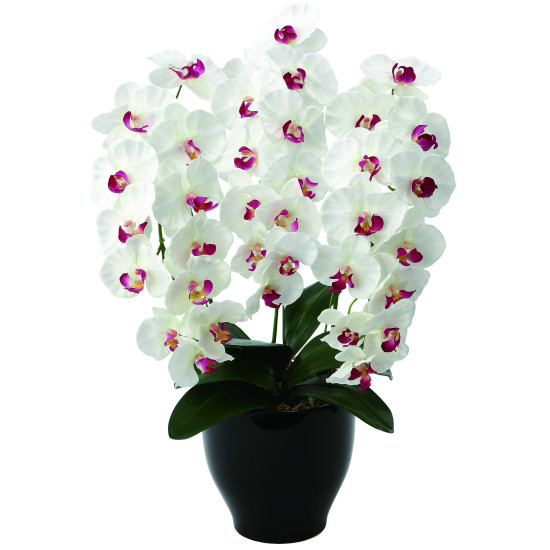 光触媒 人工観葉植物 造花 プレミアム胡蝶蘭W/AB (高さ68cm) (661K135) 店舗用品 光触媒 人工観葉植物・造花・フェイクグリーン 人工胡蝶蘭｜サインモール　店