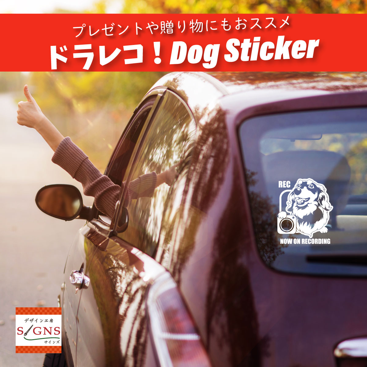 オープニング 犬のステッカー DOG STICKER ドッグステッカー ミニチュアダックスフンド ワイヤーIN CAR ccps.sn