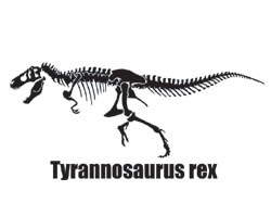 新着かっこいい 恐竜 骨 イラスト 動物ゾーン