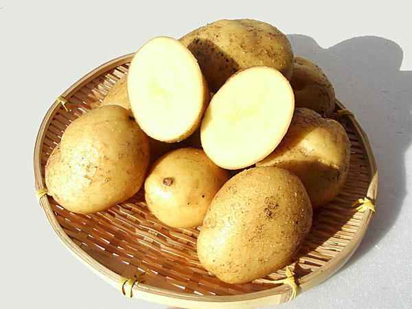 楽天市場】【送料無料・産直同梱不可】北海道産じゃがいもながさき黄金