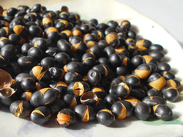 楽天市場】黒千石大豆どん 300g (ポン菓子加工)北海道産 小粒の