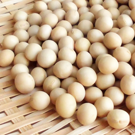 楽天市場】北海道産黒千石大豆 5kg(1kg×5個) : 北海道四季工房