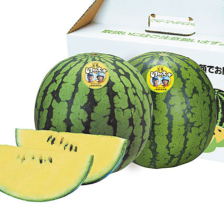北海道北竜産 ひまわりすいか(秀) 2玉セット（1玉1.3kg）<br>送料無料 黄小玉スイカ<br>出荷期間 7月上旬～8月中旬