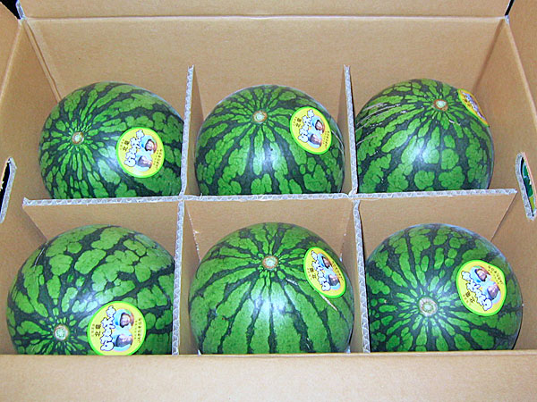 北海道北竜産 ひまわりすいか(秀) 6玉（1玉1.3kg前後）<br>送料無料 黄小玉スイカ<br>出荷期間 7月上旬～8月中旬
