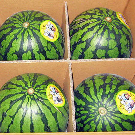 北海道北竜産 ひまわりすいか(秀) 4玉（1玉2kg前後）<br>送料無料 黄小玉スイカ<br>出荷期間 7月上旬～8月中旬