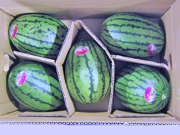 北海道産 マダーボールすいか(秀・約2Kg) ×5玉<br>送料無料<br>出荷期間 7月上旬～8月中旬