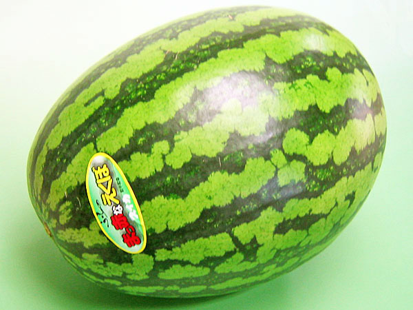 真っ赤なえくぼ（秀 L・5～6Kg)×1玉<br>送料無料<br>北海道産 紅まくらスイカ<br>出荷期間 7月中旬～8月中旬
