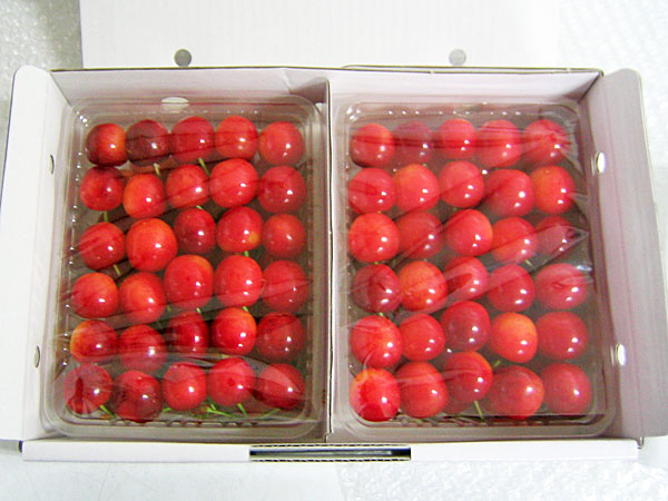 佐藤錦 (Lサイズ)  1kg（500g×2パック）北海道産さくらんぼ<br>送料無料 生産元直送<br>出荷期間 7月中旬<br>