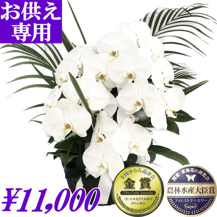 フラワーアレンジメント 供花 命日 花 49日 アレンジメント お供えのお花 胡蝶蘭 お供え お悔やみ 仏花 白 花 お悔やみ 枕花 献花 忌 お盆 お彼岸 花 供花 新盆 初盆 おそなえ 法要 法事 仏事 仏壇 命日 供養 満中陰 胡蝶蘭専門農家の生産直売