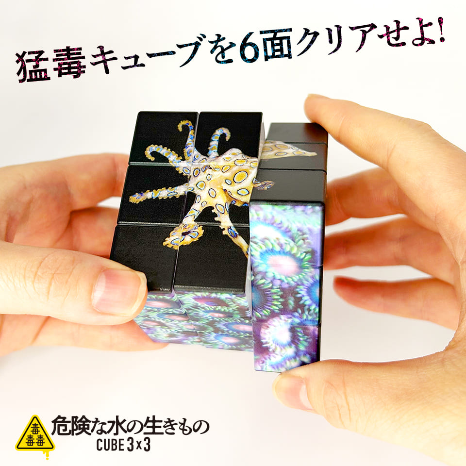 マーメイド(マーミット)ウルトラQ、ペギラ ソフトビニールキット(30cm級) マーメイド(マーミット)ウルトラQ、ペギラ ソフトビニールキット