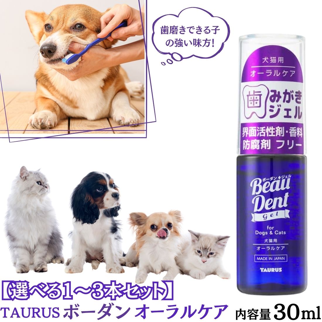 楽天市場】犬猫用オーラルケア 歯みがき ボーダン 240ml