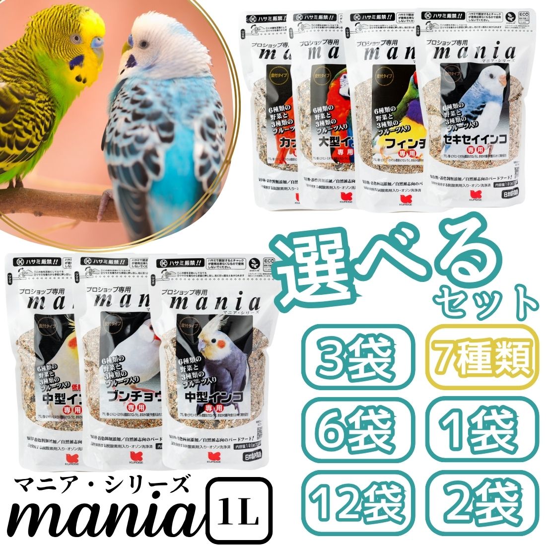 楽天市場】【選べる7種類、セット数】黒瀬ペットフード マニア マニア