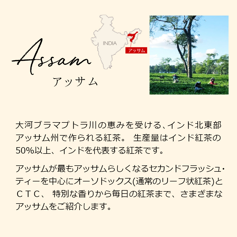 楽天市場 紅茶 お徳用パック アッサム セカンドフラッシュ 年 メレン茶園 Fbop Clonal Special 0g インド紅茶専門店シルバーポット