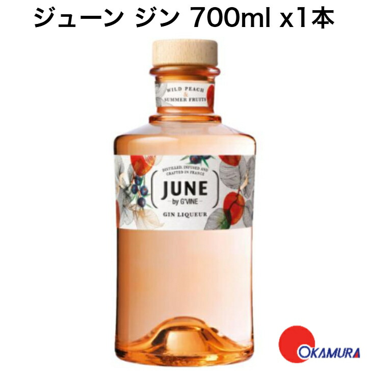 イタリアクラフトジンDEL PROFESSOR ムッシュジン 700ml 43% プロフェッサー ムッシュ ジン 700ml 43.7度 イタリア GIN 長S