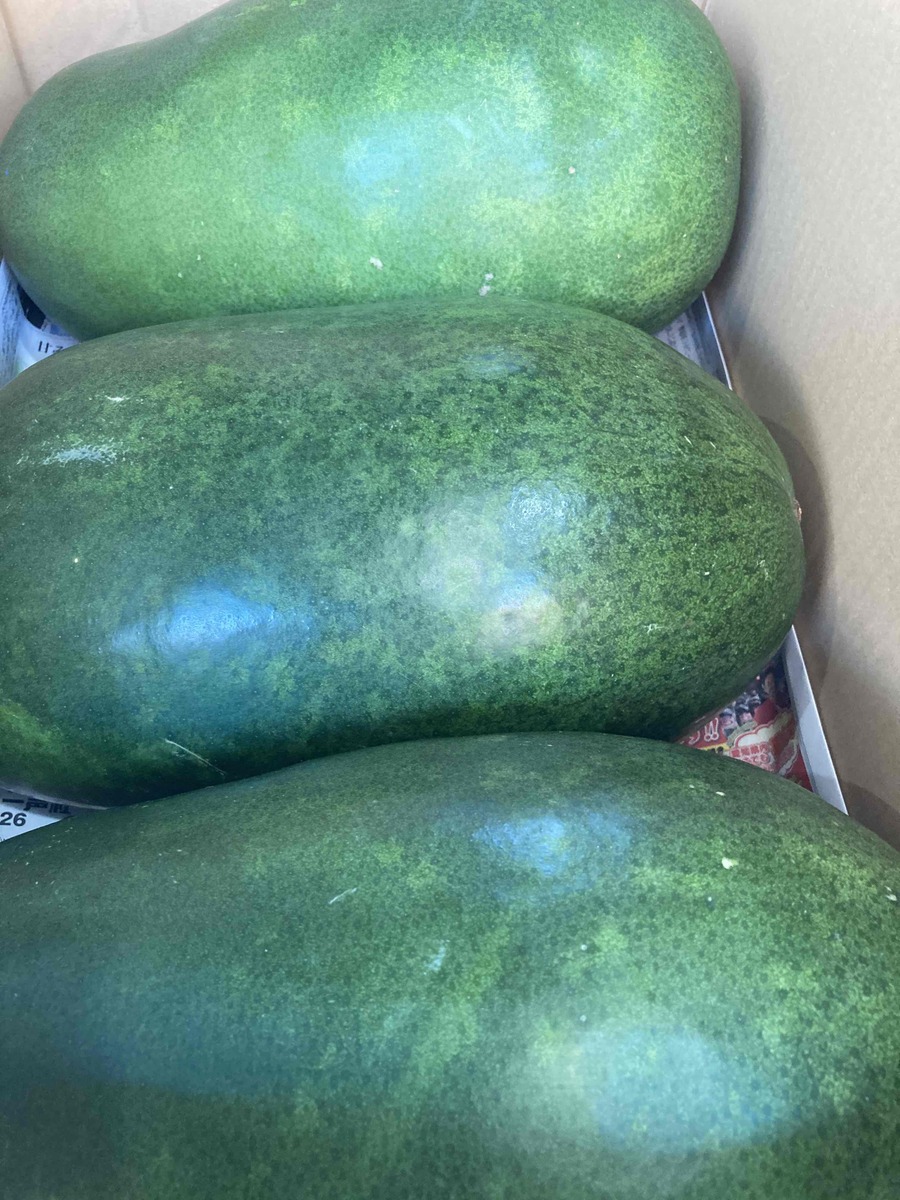 国産（沖縄・豊橋）　　冬瓜（琉球）約10ｋｇ　2～4玉