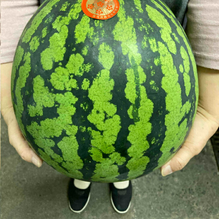 沖縄・熊本・その他産地産　温室スイカ　<br>2Ｌ～4Ｌ<br>（7ｋｇ～8ｋｇ）1玉