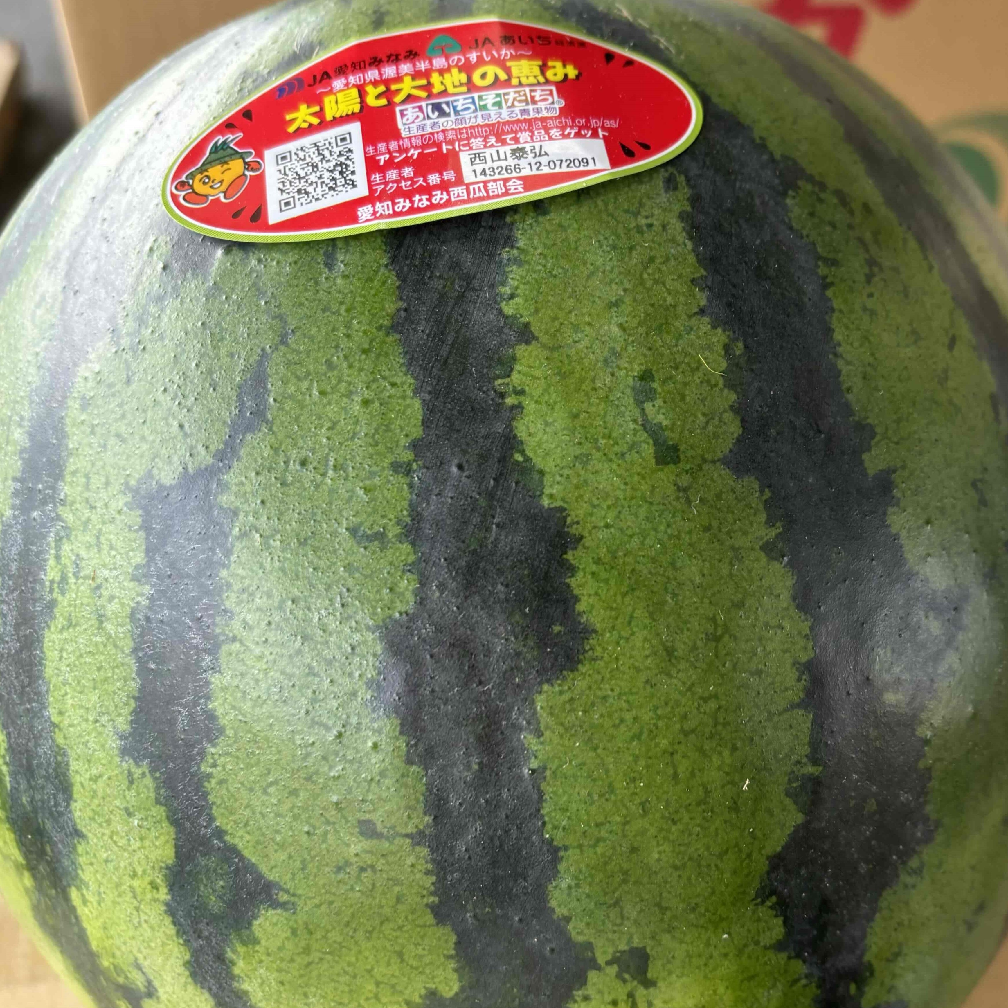 楽天市場】三浦すいか L〜4L 2玉 【神奈川県産】 : 果物百貨店