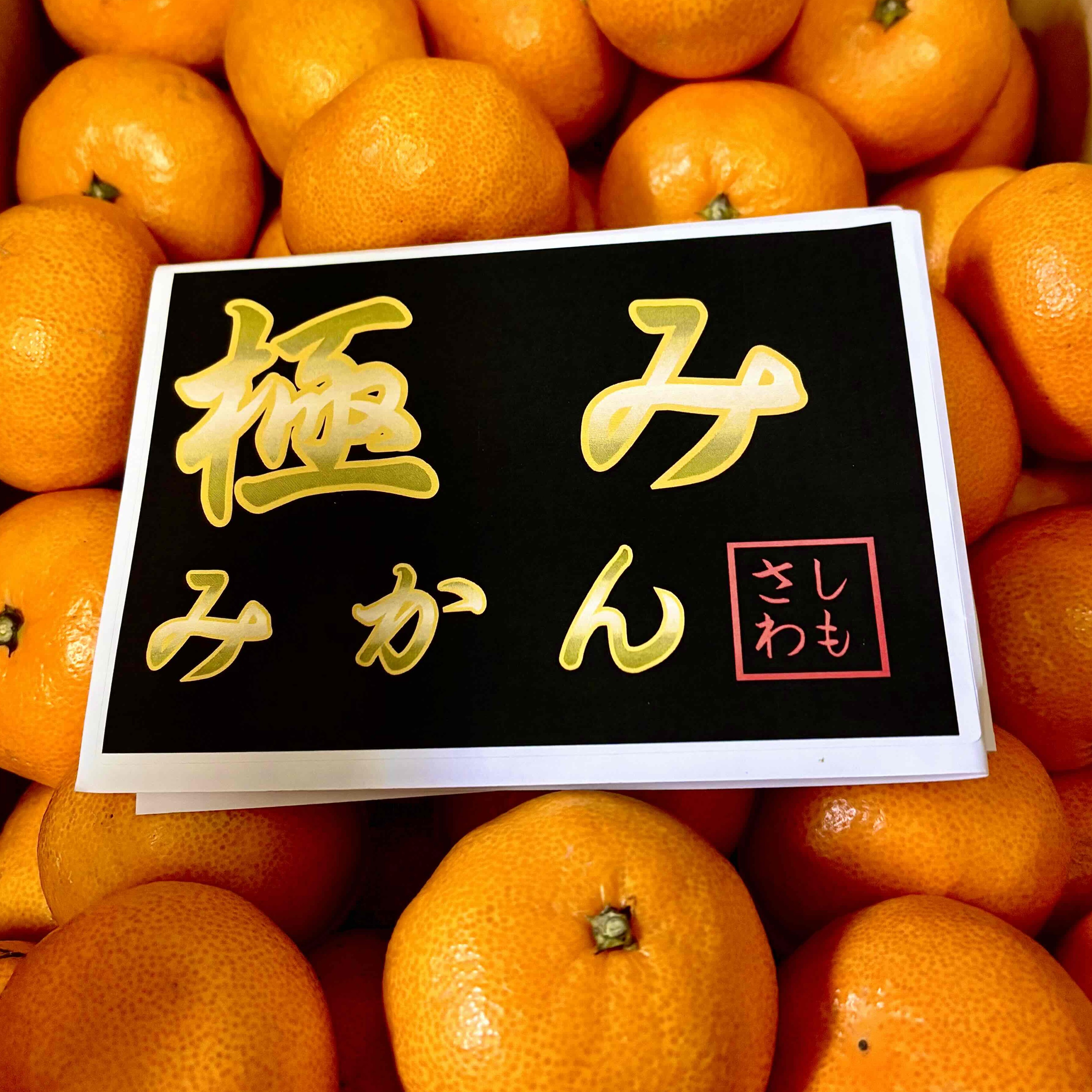 楽天市場】極みみかん（個人農家）Mサイズ 約8kg三ケ日・浜名湖