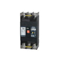 楽天市場】テンパール GB-223EA 200A Eシリーズ(経済タイプ)漏電遮断器