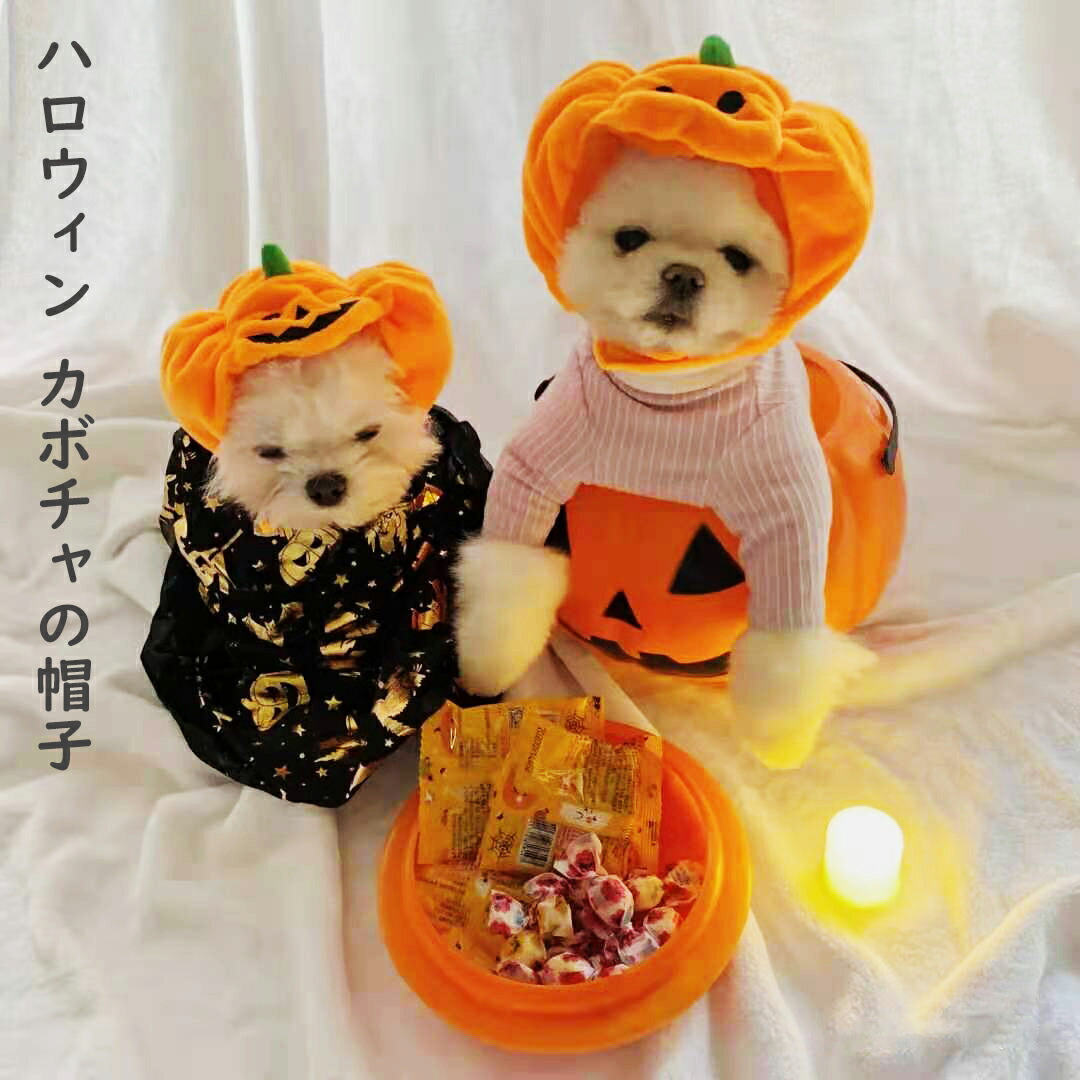 ハロウィン カボチャの帽子 ペット用 ハロウィンかぼちゃ帽子テディドレスヘッドギア猫耳猫ヘッドギア 簡単固定 着脱簡単 面白い ペット コスチューム 変身 い 写真小道具 パーティー小道具 動物 クリスマス 衣装カーニバル ネコ子犬用 送料無料 最大50 オフ