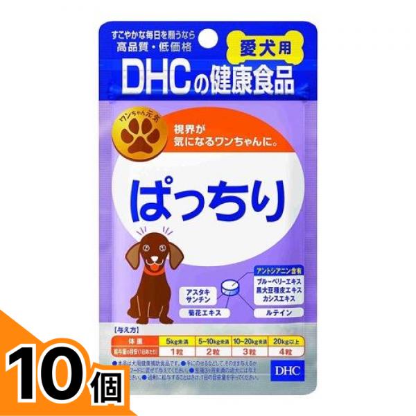 【堅苦しさ人となり引き合わせる】ふわふわサモエドコンビがやってきた！ サプリメント-ドッグフード・サプリメント