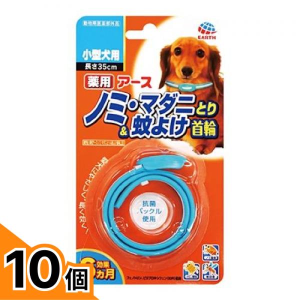 初夏の好いたらしいグッズ特集
