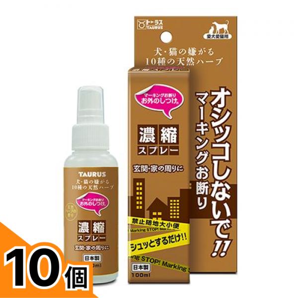 初夏の好いたらしいグッズ特集