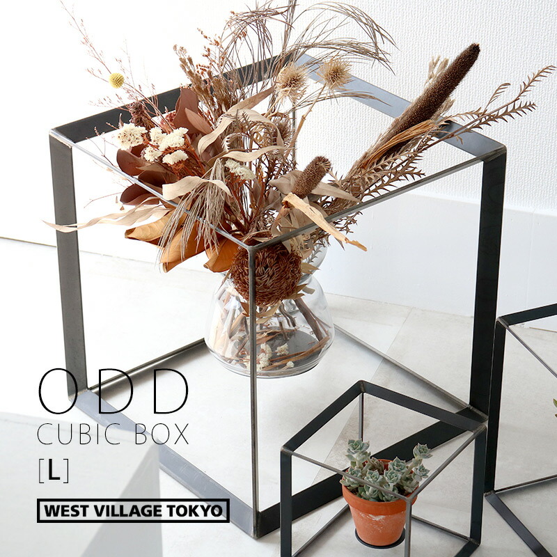 楽天市場】ODD CUBIC BOX [L] ディスプレイボックス プランター