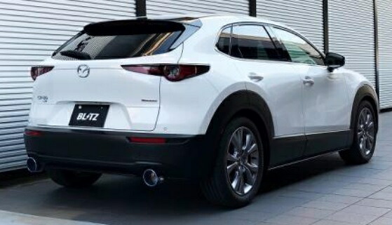 ブリッツ CX-30 DM8P マフラー チタンカラー 63191V BLITZ NUR-SPEC CUSTOM EDITION ニュルスペック カスタムエディション|シンシアモール 店
