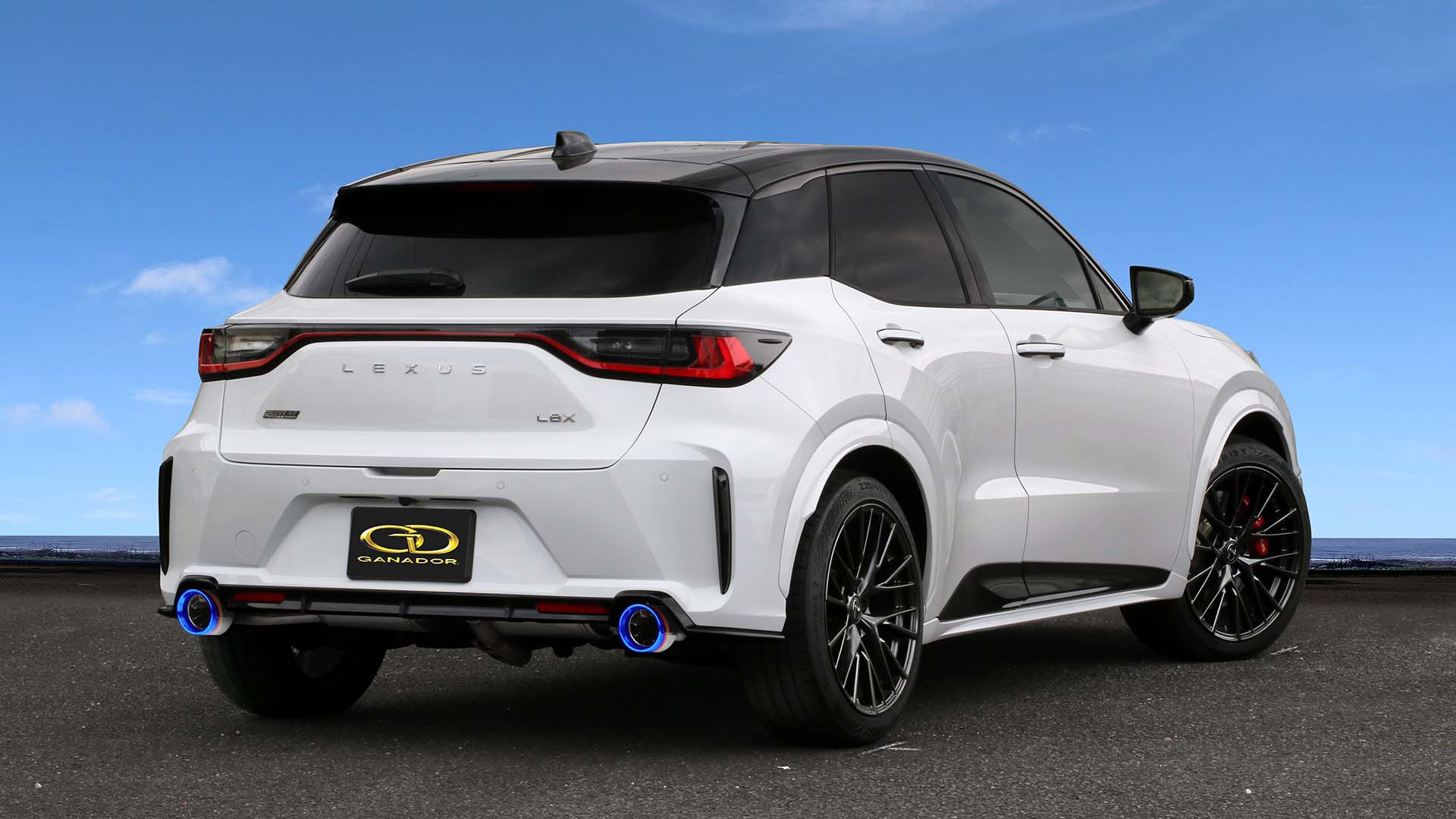 ガナドール レクサス LBX MORIZO RR 4BA-GAYA16 マフラー チタニウム GDS-423TBL GANADOR Vertex 4WD/SUV|シンシアモール 店
