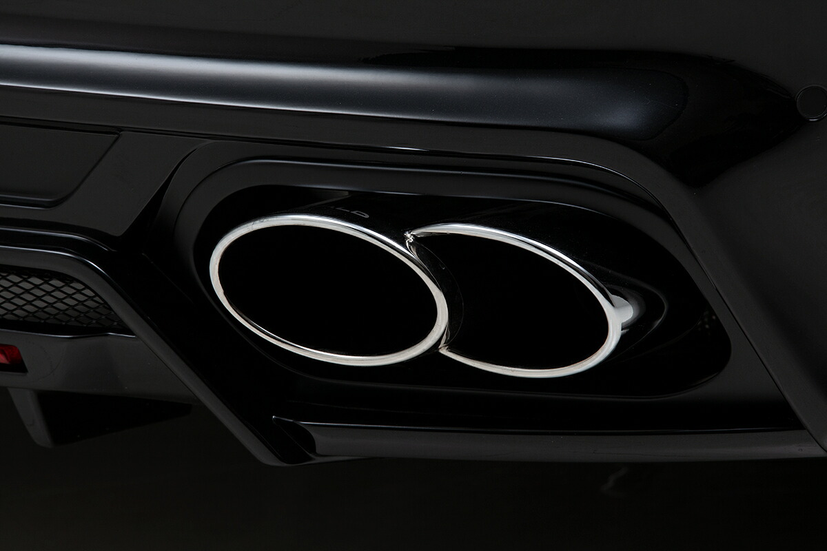 ヴァルド ポルシェ マフラーカッター オールステンレス WALD Sports Line Black Bison Edition スポーツラインブラックバイソンエディション