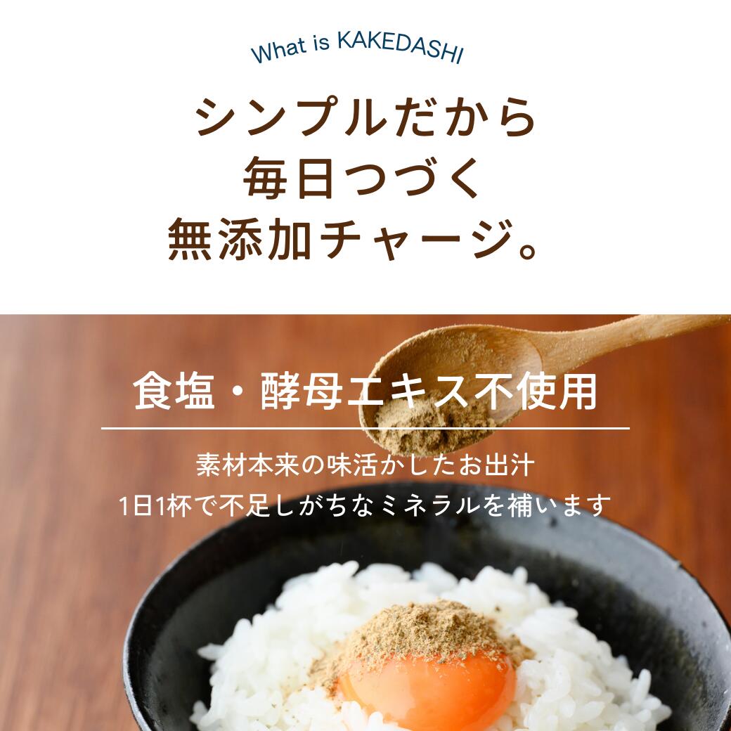 無添加 食塩不使用 酵母エキス 不使用 国産 出汁粉 1パック100g