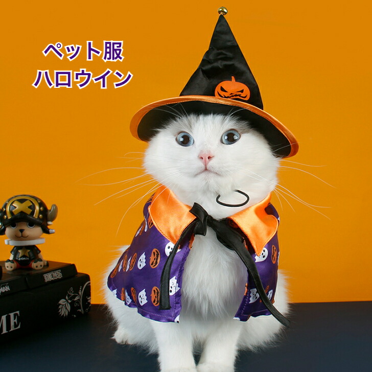 楽天市場】【送料無料】ハロウィン 猫用服 ペット服 パンプキン